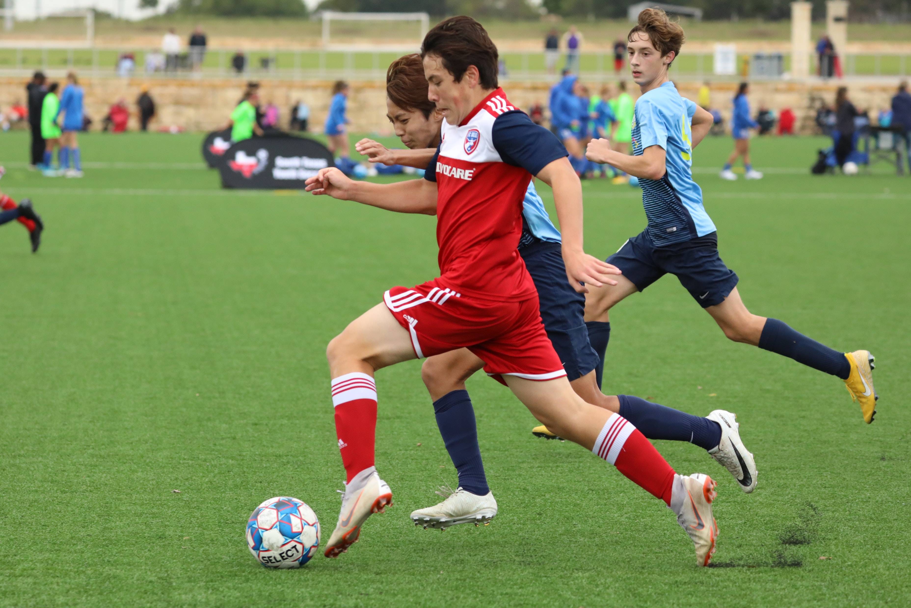 经历了从追 经历了从追