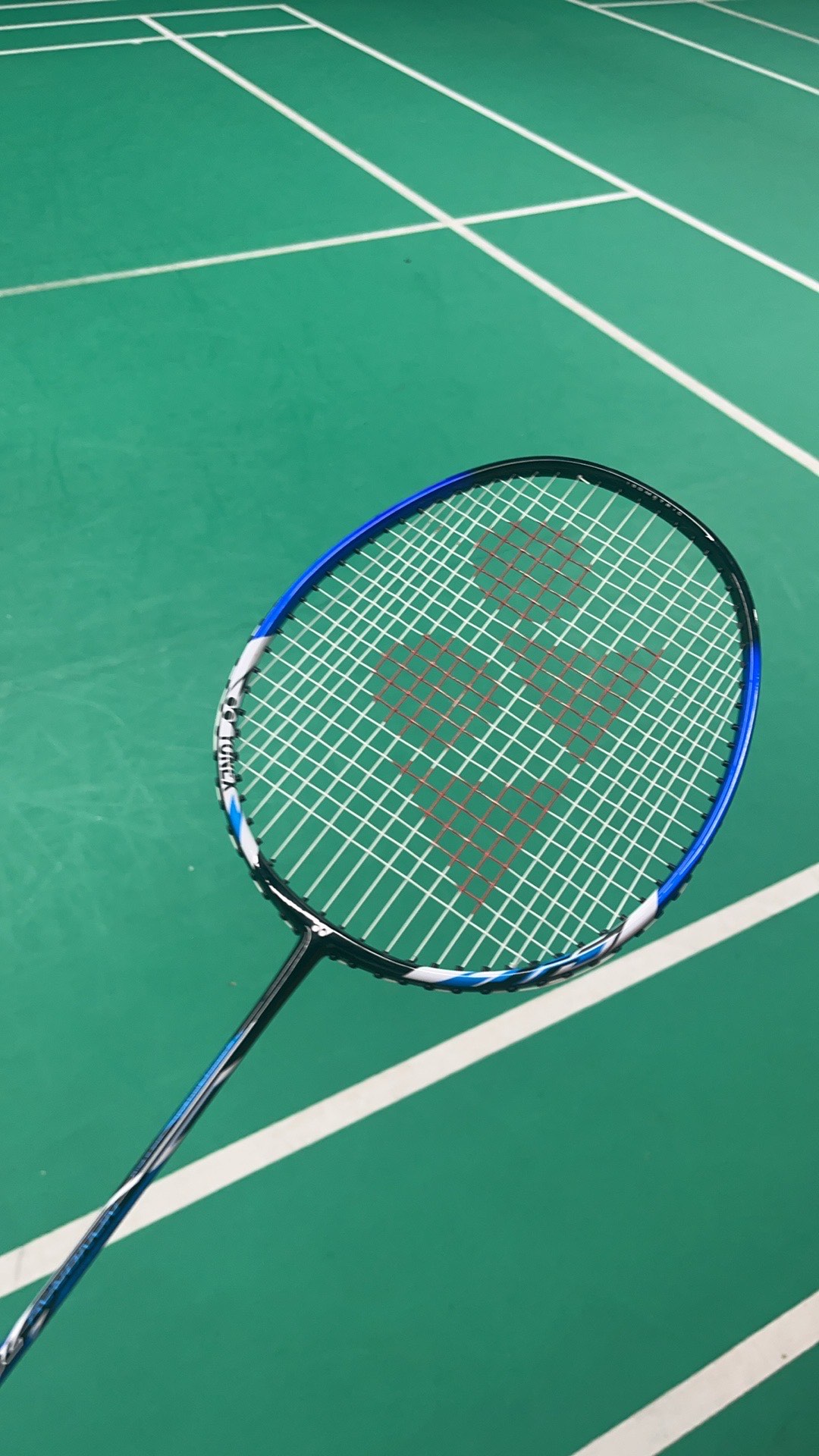 引了大量的 引了大量的