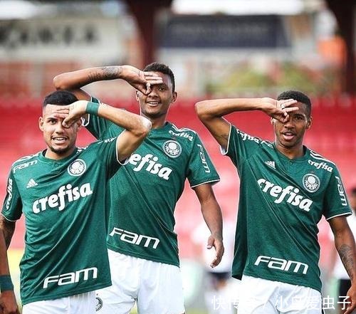 懈追求的奖 懈追求的奖