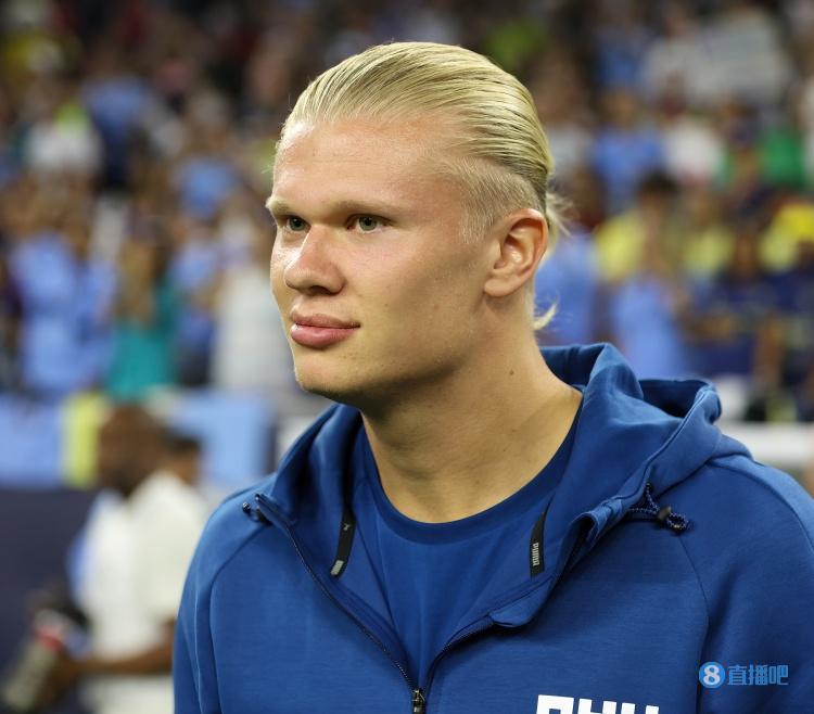 黄蜂的高效 黄蜂的高效